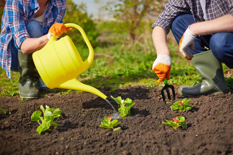 How To Start A Garden