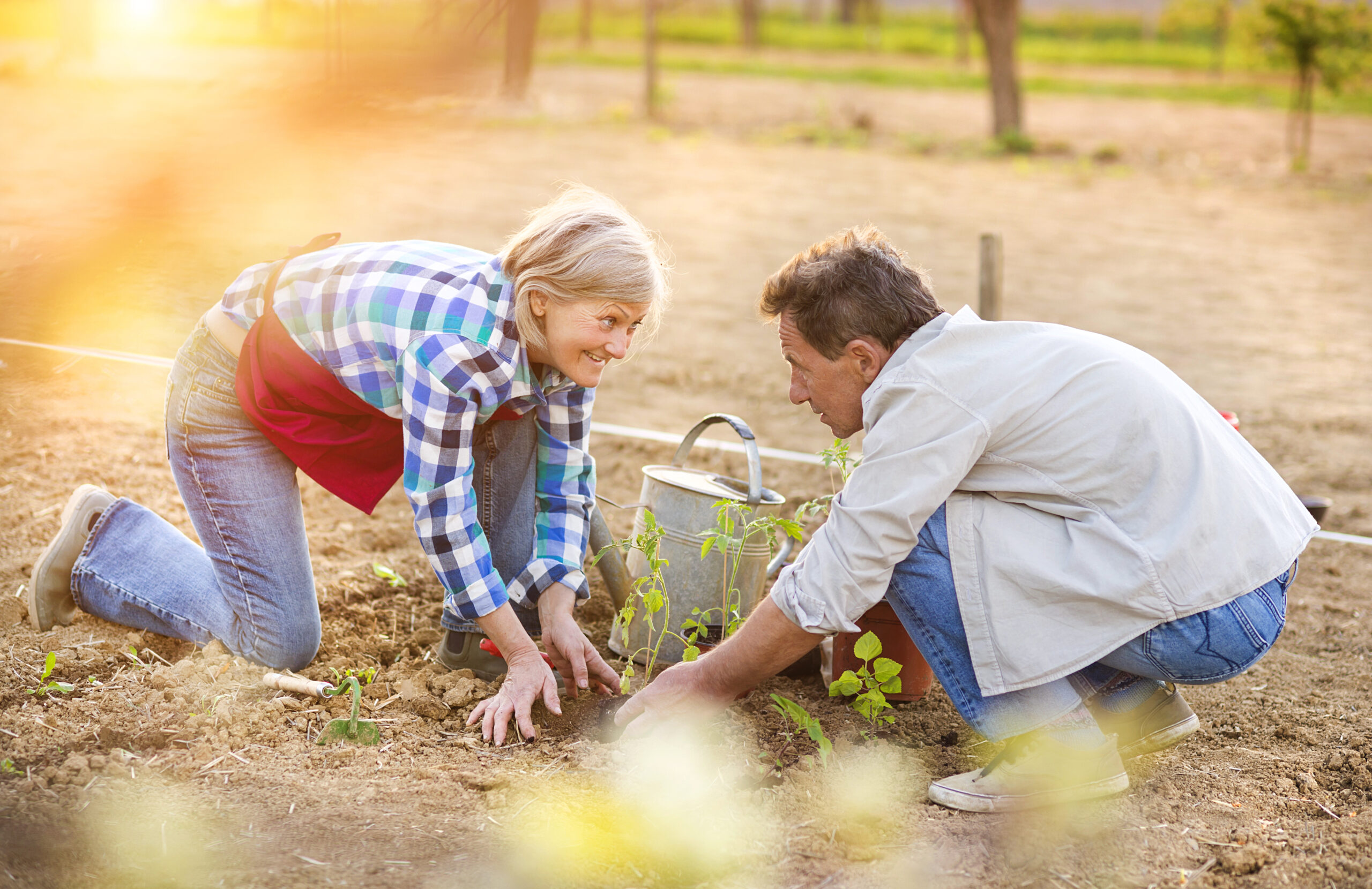 growing vegetables year round