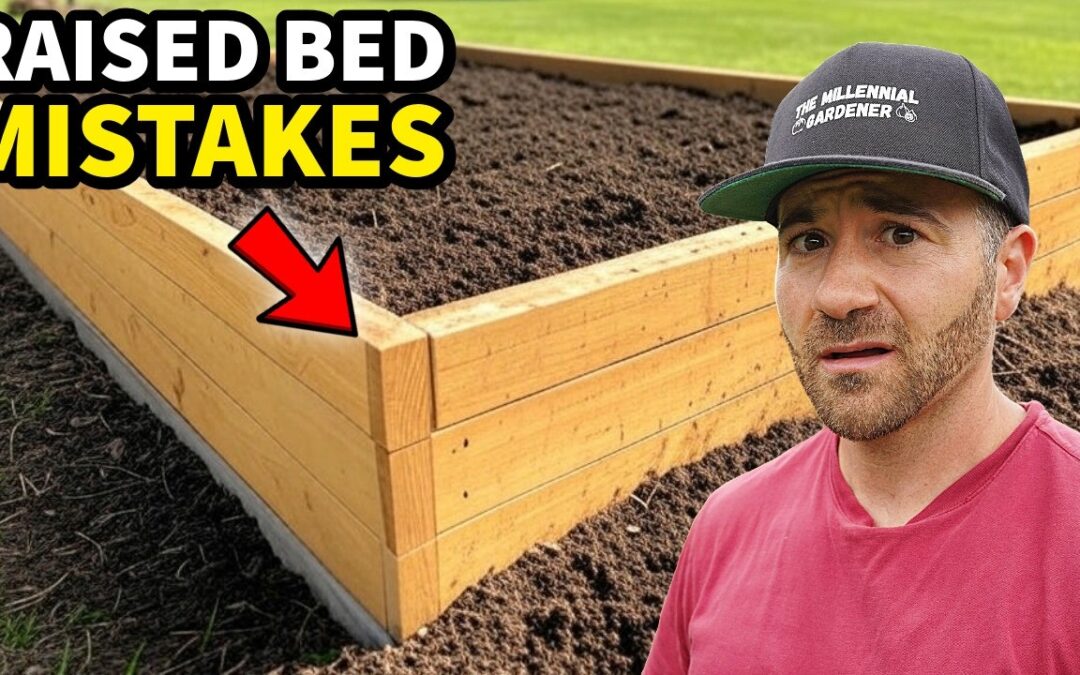 Garden Catastrophe! DO NOT Make These 3 Raised Bed Mistakes