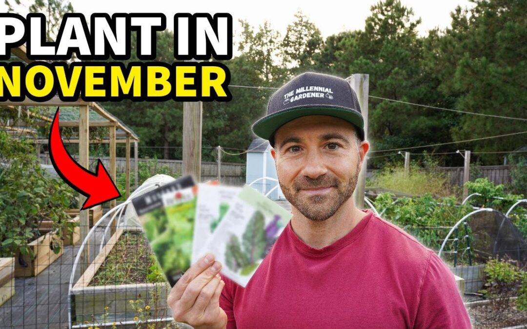 You’ll Regret NOT Planting These 10 Crops In November RIGHT NOW!