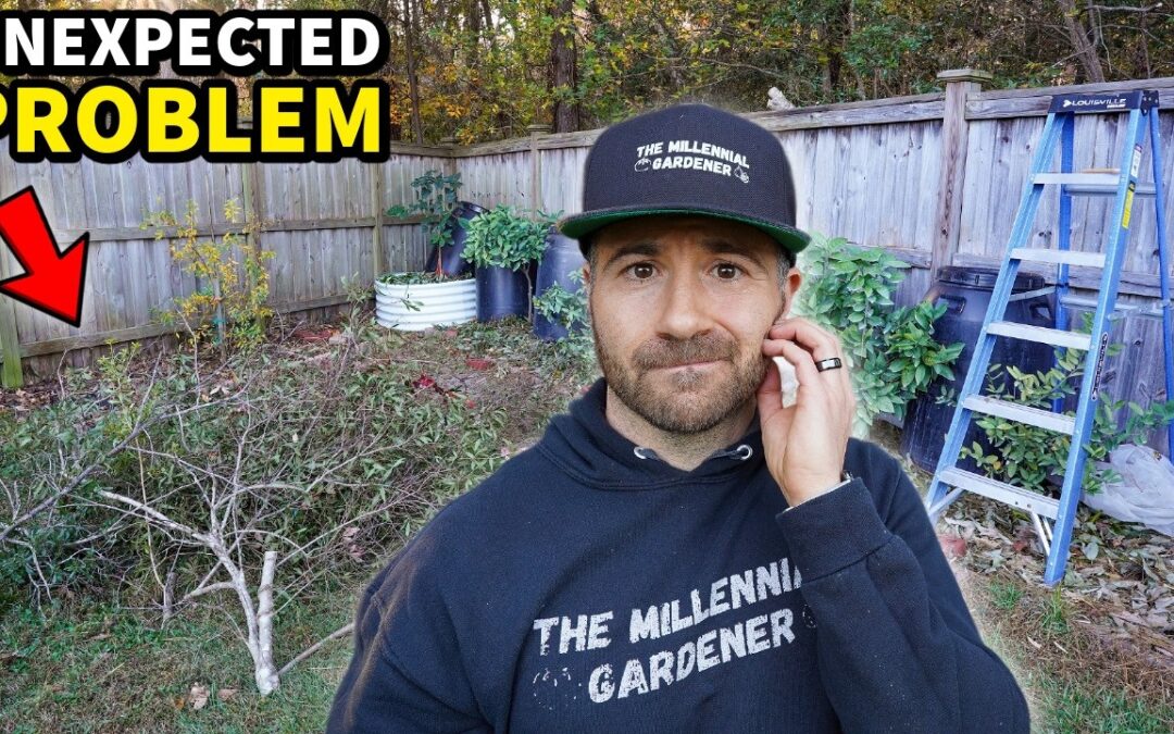 When Your Garden Doesn’t Go As Planned…