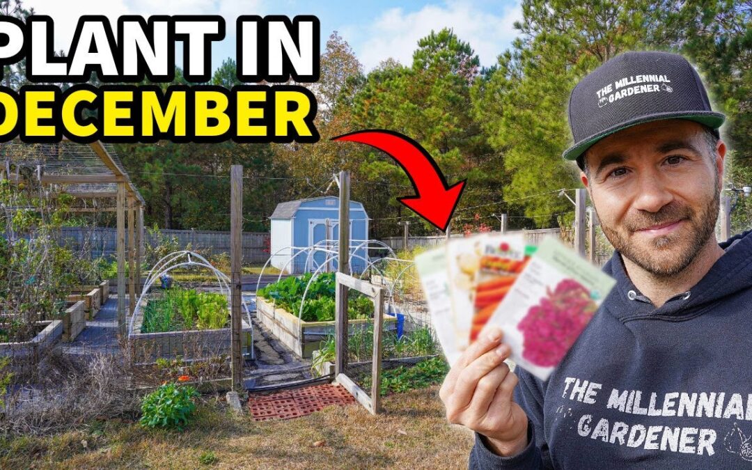 10 Veggies You’ll Regret NOT Planting In December RIGHT NOW!