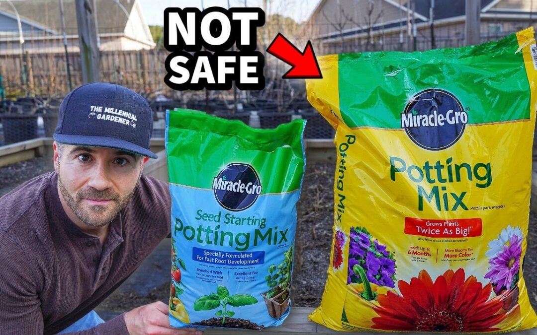 Potting Soil Is NOT SAFE To Start Seeds. STOP Using It!