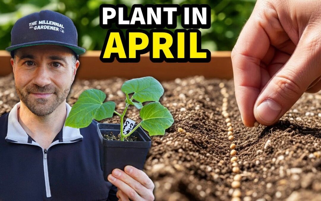 Plant This in April NOW, or You’ll Regret It!