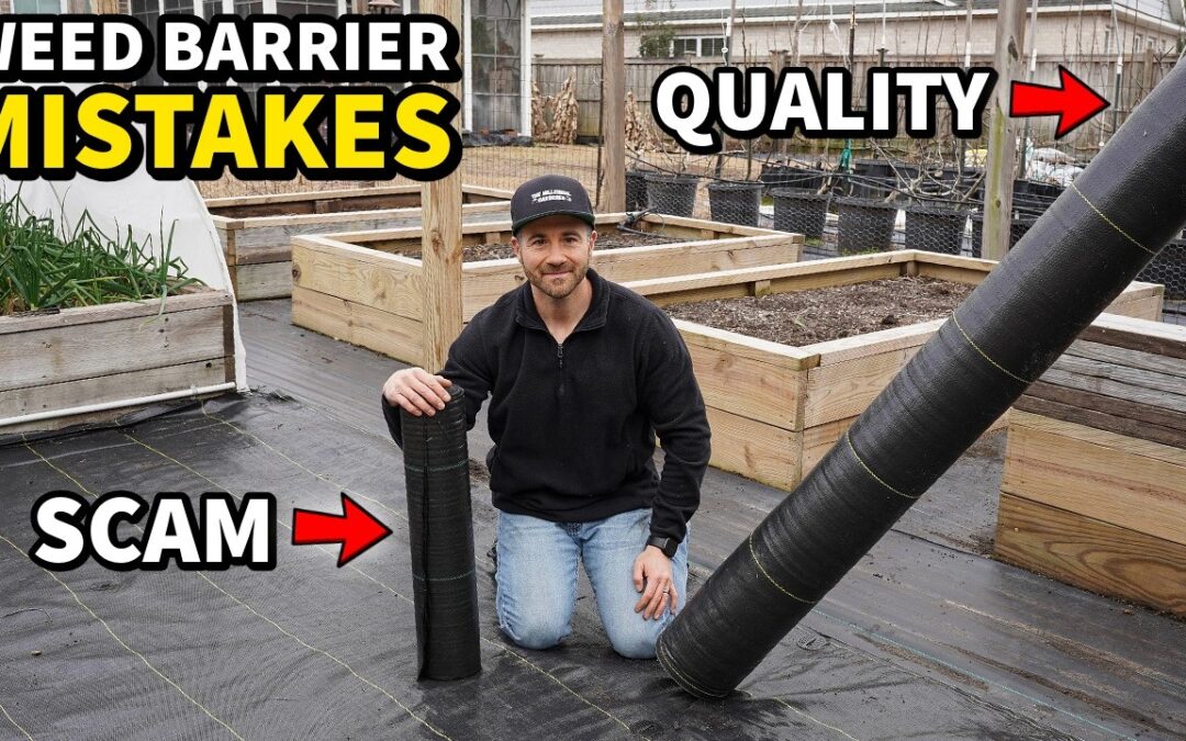 10 Things I WISH They Told Me About WEED BARRIER [I Got Tricked!]