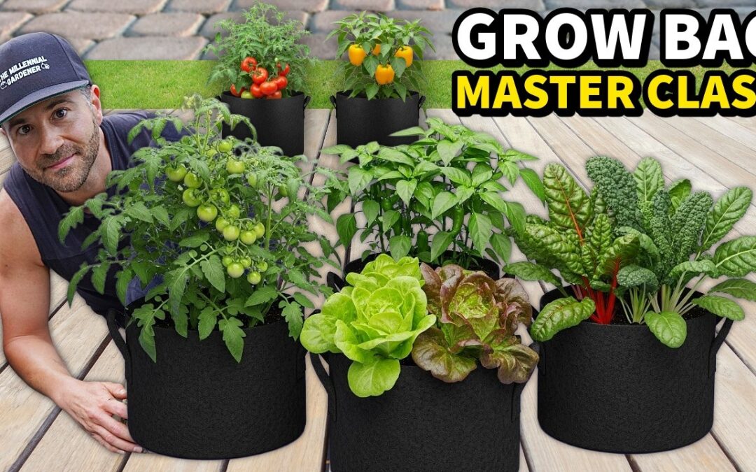 Gardening In GROW BAGS Is So EASY It's Like Cheating!